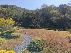 -云溪植物园