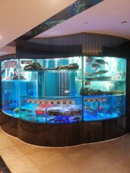 -喜爱轩酒楼·宴会厅