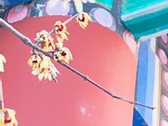 -丰台花园