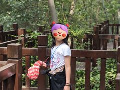 -上海佘山国家森林公园天马山园