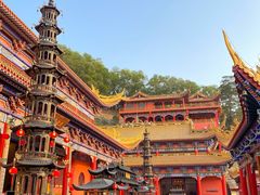 -东莞市大岭山森林公园