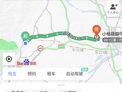 -小杨翘脚牛肉