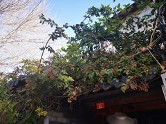 -小时光咖啡馆(北锣鼓巷店)