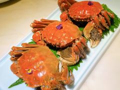 熟醉花雕六月黄-韵秋荷(宝山龙湖天街店)
