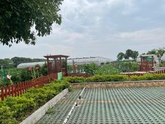 -上膳源有机农场