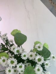 -HEYAN长风荷妍专业脱毛美肤
