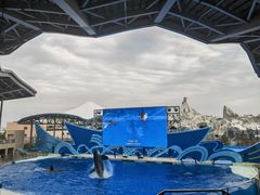 -上海海昌海洋公园