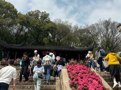 -苏州上方山国家森林公园