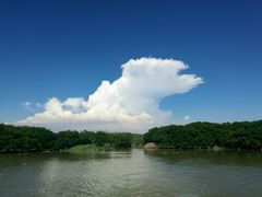 -大湾区中央湿地公园