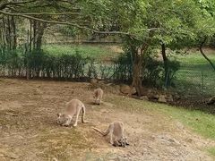 -宁波野生动物园