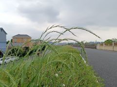 -乌龙涧铁道铁轨景