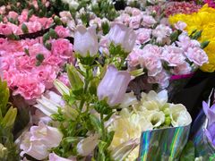-双季花艺园艺市场(浦东店)