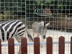 -泉州海丝野生动物世界