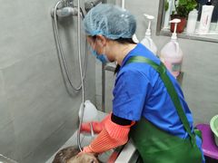 -宠福鑫康馨动物医院·骨科·眼科