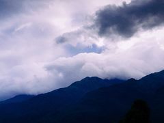 -喵屿·大理花园猫咖