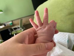 -添禧月子会所(高新店)