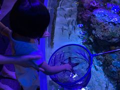 -成都浩海立方海洋公园