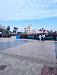 -翱翔飞越地平线