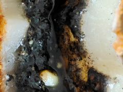 -白玉兰食品(中山公园龙之梦店)