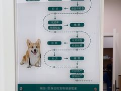 -瑞派康怡24h宠物医院·犬猫医疗中心·微创绝育(瑞景分院)
