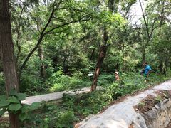 -阳台山自然风景区