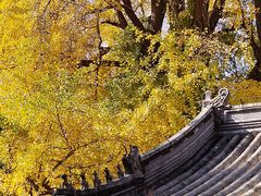 -潭柘寺景区