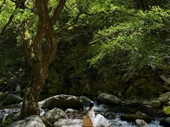 -少华山国家森林公园