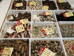 -胖大嫂渔家排档·全海景餐厅(渔村店)