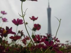 -海心沙亚运公园