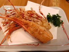 -Hatsune隐泉日式料理(SKP店)
