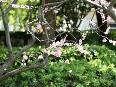 -静安雕塑公园