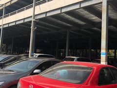 -上海植物园·停车场