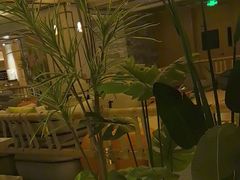 -艺水间水汇