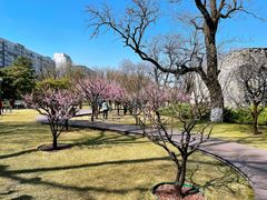 -北京明城墙遗址公园