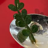 这是我体验的态度最好的一家咖啡店