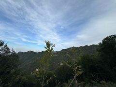 -少华山国家森林公园