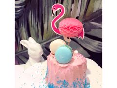 红丝绒-随心小姐