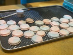 -Harry's Kitchen哈里小屋(上海大悦城店)