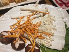 -掂档潮汕牛肉火锅(沈阳万象城店)