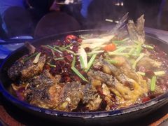 -老板恋上鱼(恒隆广场店)