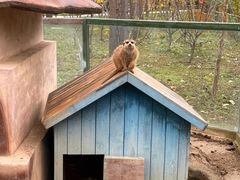 -合肥滨湖国家森林公园