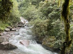 -西岭雪山大飞水景区