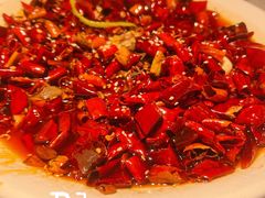 毛血旺-初蓉丨遇见新川菜(亲贤街荣耀店)