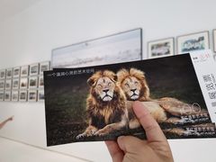 -罗红摄影艺术馆