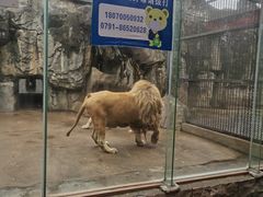-南昌动物园