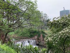-重庆彩云湖湿地公园