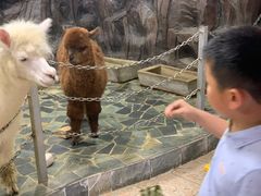 -上海大自然野生昆虫馆(东方明珠·爬宠昆虫探索中心)
