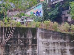 -陈胖子特色菜.鲜货现炒(融景城店)