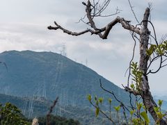-马峦山郊野公园