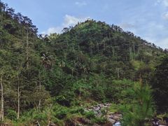 -火炉山森林公园